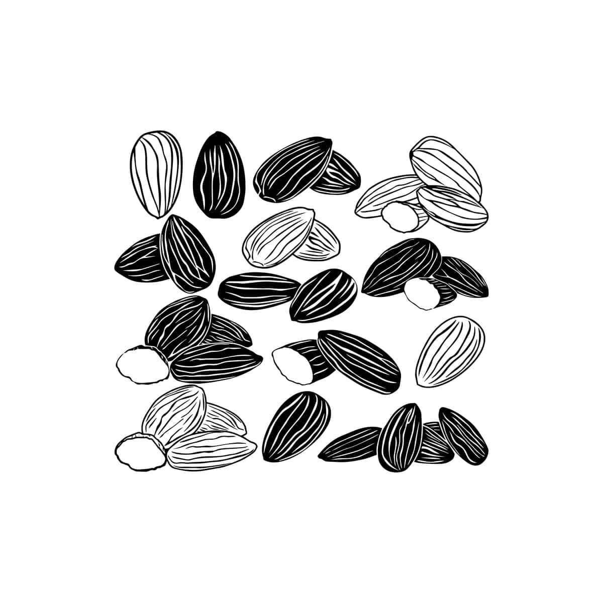 Qora oq bodom rasmlari vektor belgisini o'rnatdi | Black white almond illustrations set vector icon 1