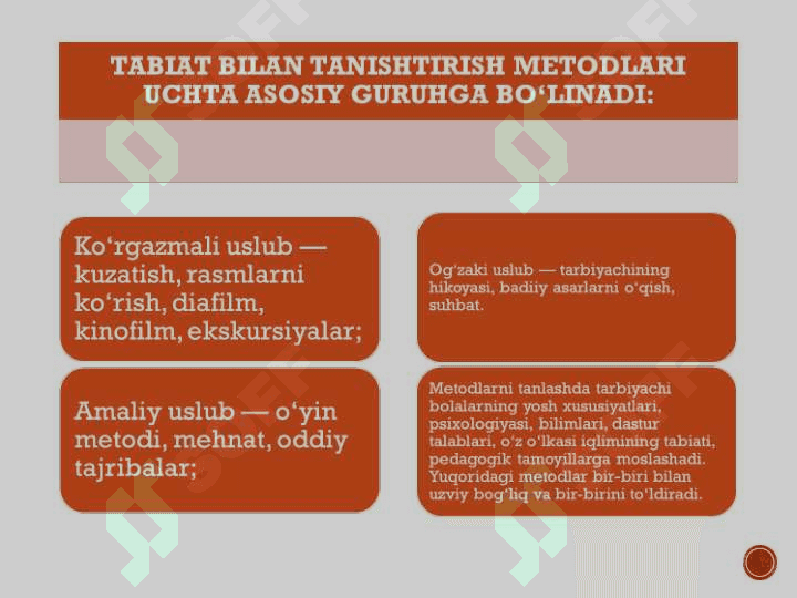 KICHIK VA O'RTA GURUHLARDA TABIATNI KUZATISH ISHLARINI  TASHKIL ETISH MAZMUNI 4