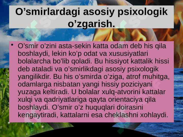 Preview 6