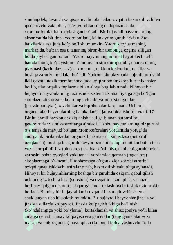 Preview 5