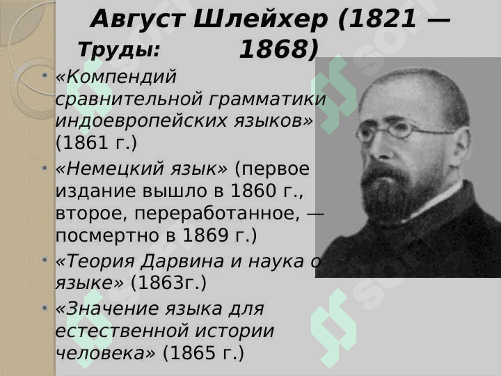Натуралистическая и психологическая школа 8