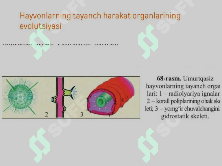 Preview 7