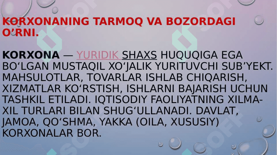 Biznes loyihada korxona va mahsulot tavsifi 2