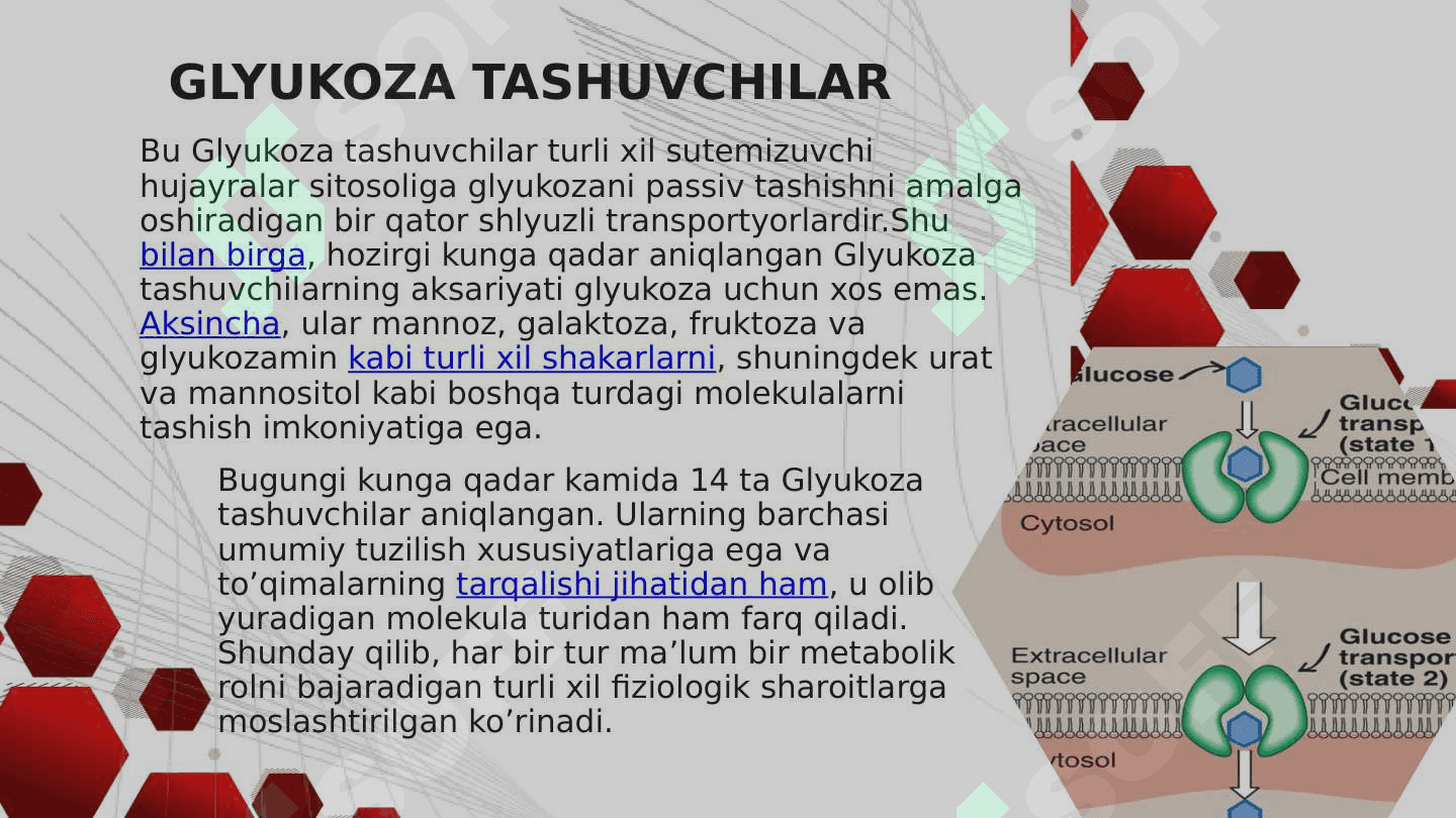 Glyukoza tashuvchilarning tuzilishi, spesifikligi, klinik ahamiyati 4