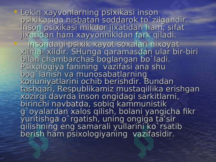 Preview 5
