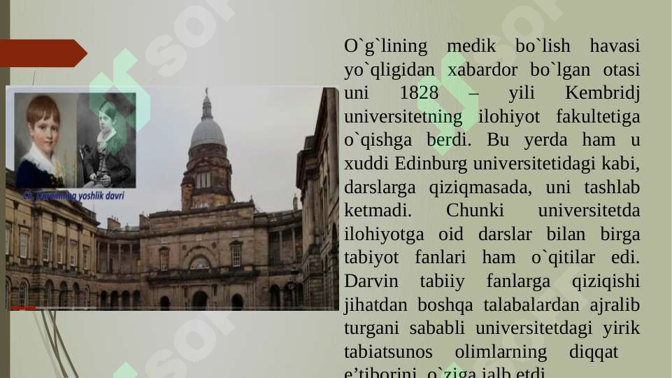 Preview 5