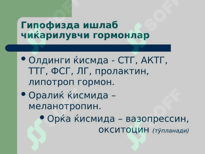Эндокрин тизим патофизиологияси . Endokrin tizimi patofiziologiyasi 8