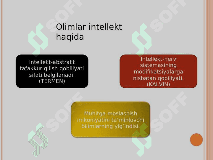 intellekt nazariyasi 7