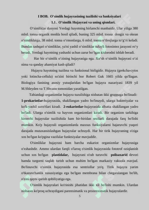 Preview 5
