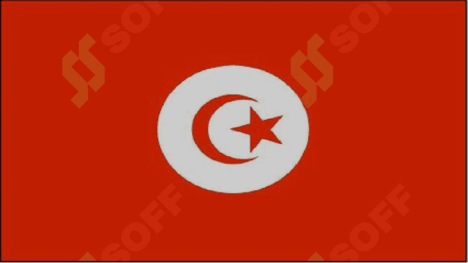 TUNIS mamlakati bojxona siyosati tahlili. 2