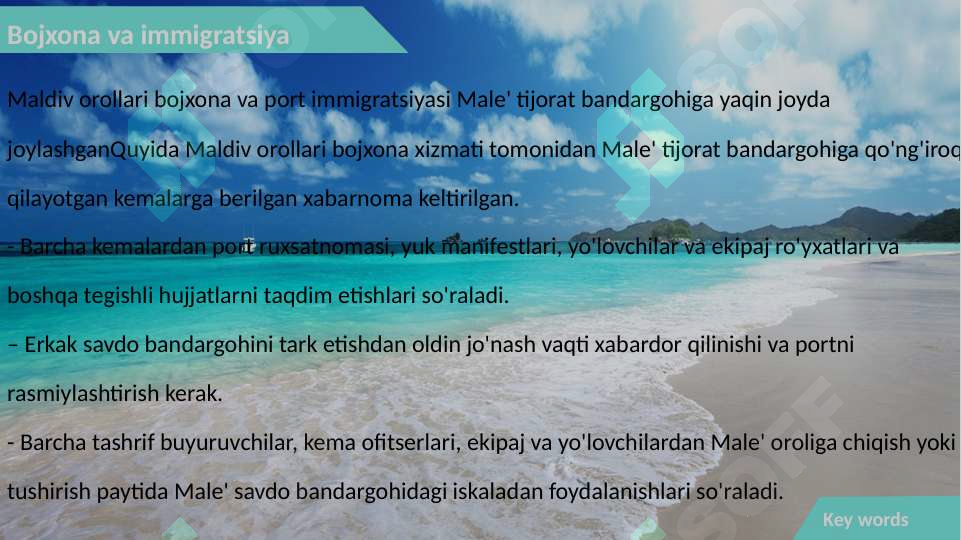 Preview 6