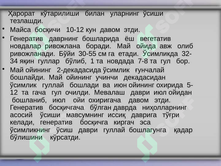 Preview 6