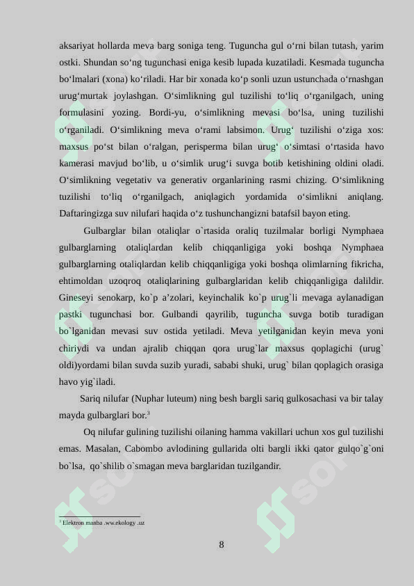 Preview 8