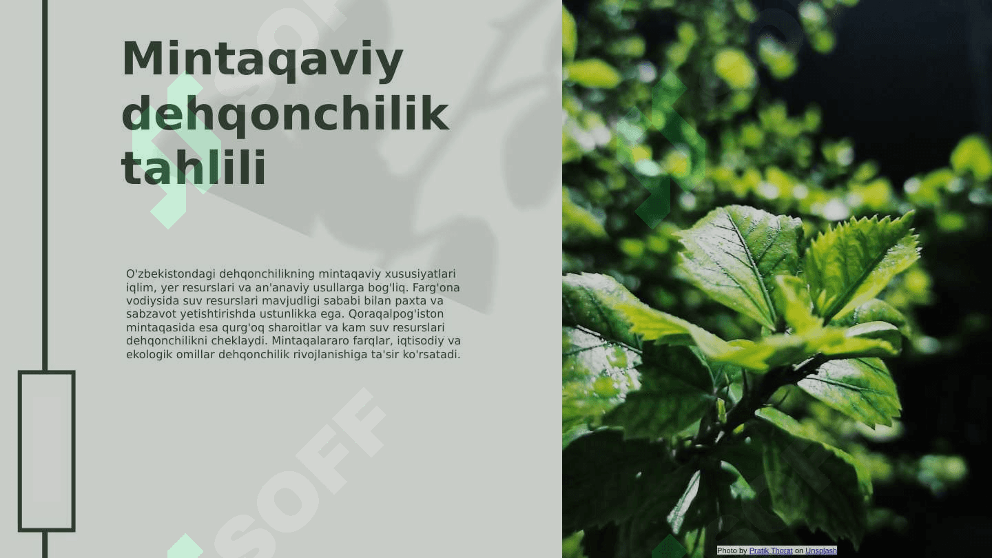 Oʻzbekistonda dehqonchilikning mintaqaviy rivojlanishi, xususiyatlari geografiyasi 3