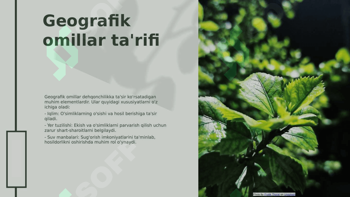 Oʻzbekistonda dehqonchilikning mintaqaviy rivojlanishi, xususiyatlari geografiyasi 8