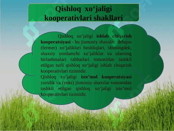 Kooperatsiyalarning tasniflanishi 5