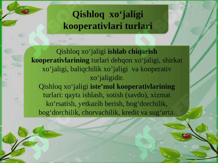 Kooperatsiyalarning tasniflanishi 6
