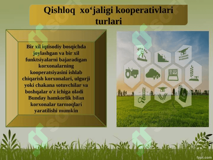 Kooperatsiyalarning tasniflanishi 8