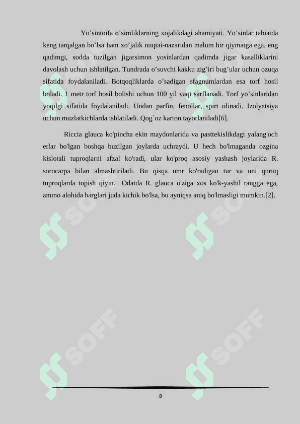 Yo'sintoifa   o'simliklar bo'limi 8
