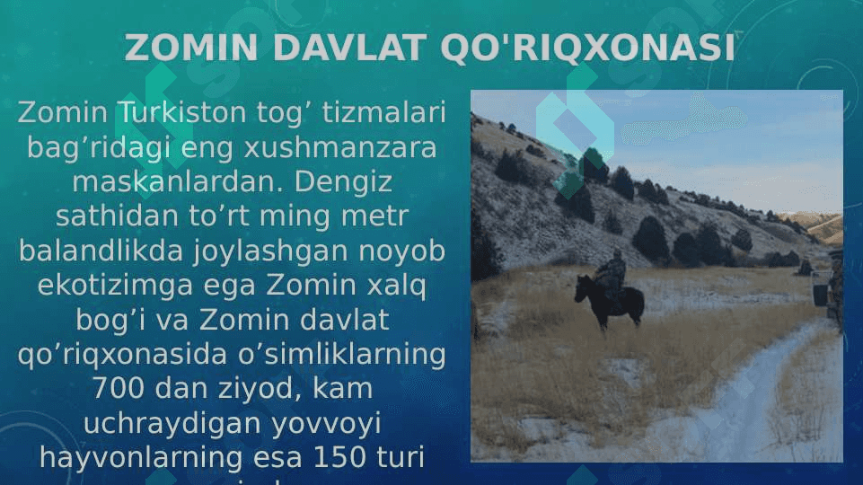 O’zbekistonning muhofaza etiladigan tabiiy hududlari. Urbanizatsiya va atrof muhit muammolari 4
