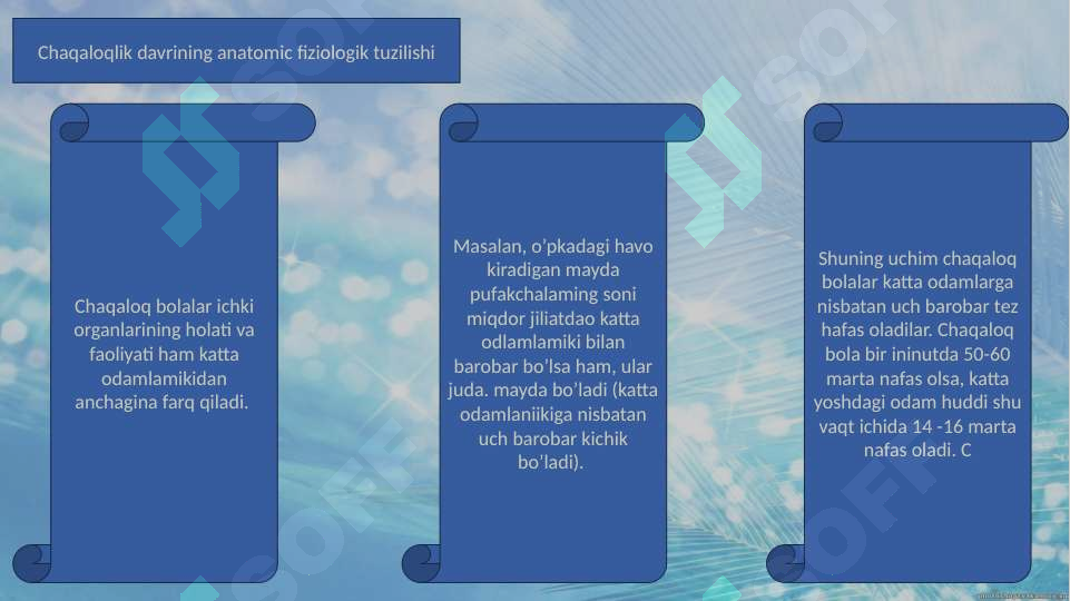 Preview 8