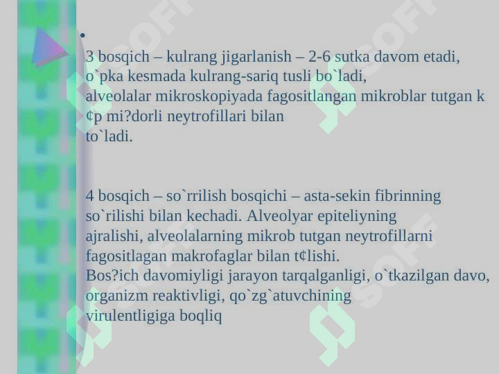 Preview 7