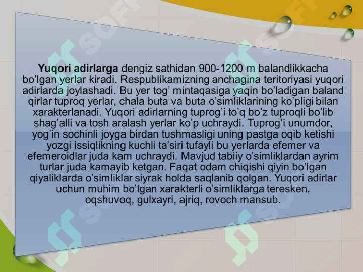 Preview 8