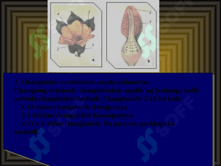 Changlanish va urug'lanish jarayoni. 3