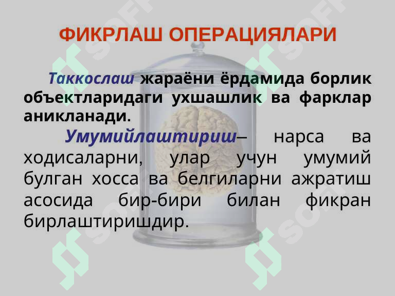 Preview 7