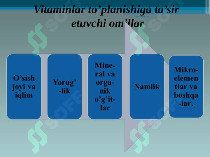 Preview 7