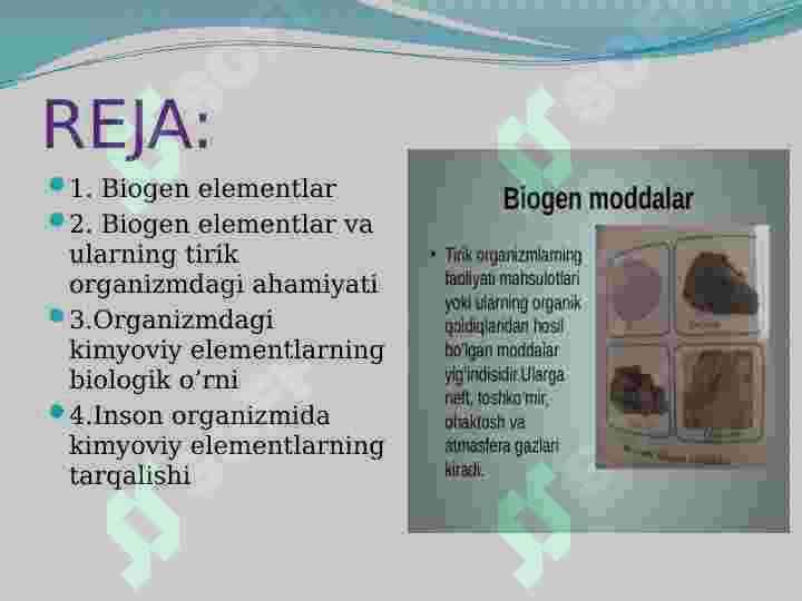 BIOGEN ELEMENTLAR 2