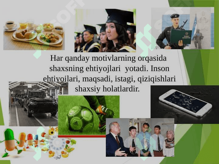Motivatsiya jarayonlari  psixologiyasi tarixi va hozirgi holati 7