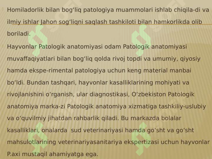 Preview 6