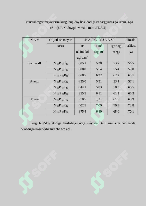 Preview 8