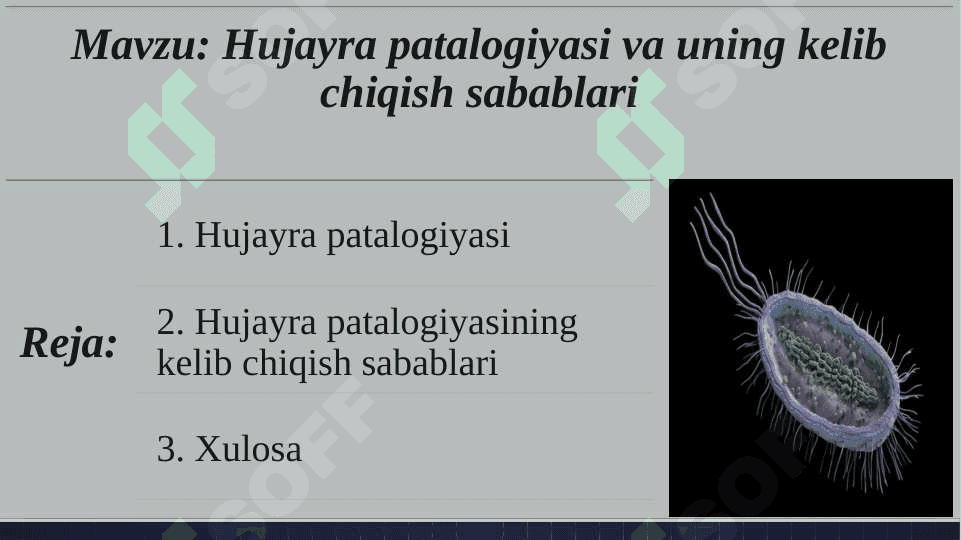 Hujayra patalogiyasi va uning kelib chiqish sabablari 2