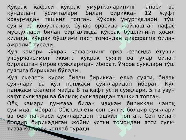 Preview 6