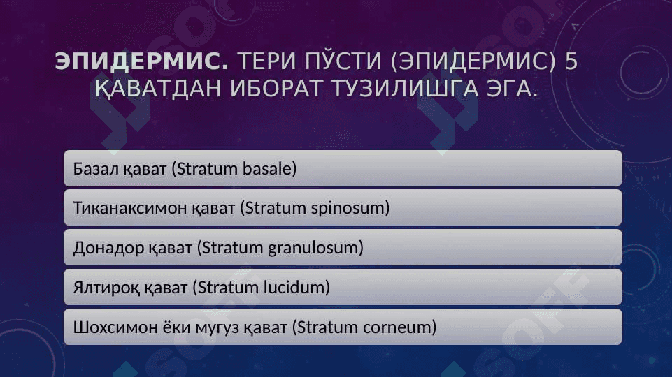 BOLALAR TERISI TUZILISHI VA BOLALAR TERISI KASALLIKLARI 5