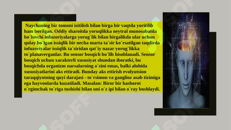 Preview 5