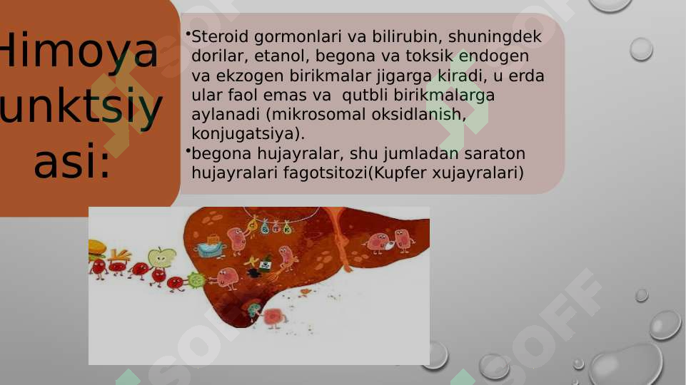 Preview 7