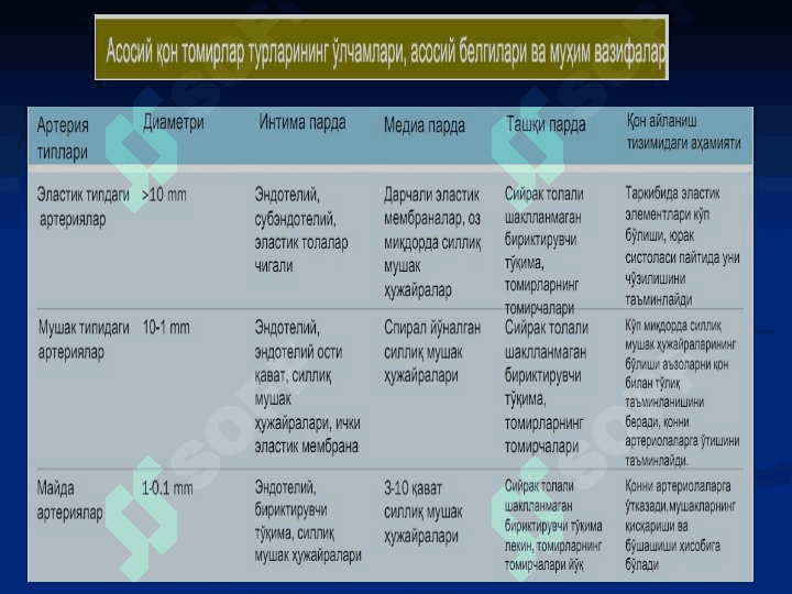ЮРАК ҚОН-ТОМИРЛАР СИСТЕМАСИ 4