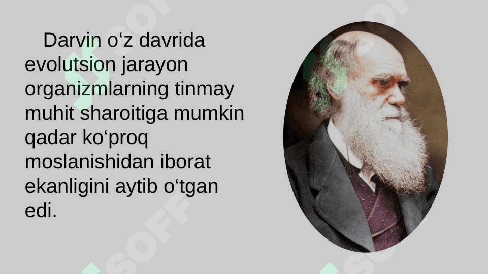 Organik olam evolutsiyasinig asosiy yo‘nalishlari 2