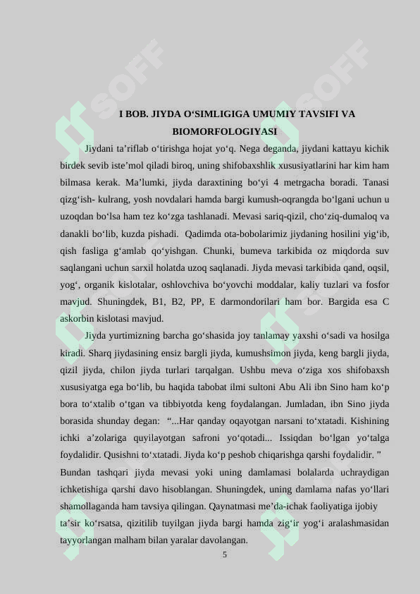 Preview 5