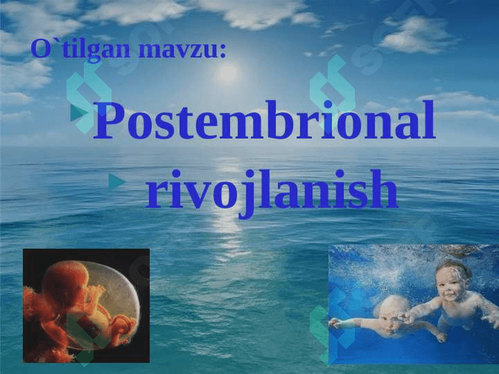 Embrion rivojlanishga tashqi muhitning ta`siri.Rivojlanishning umumiy qonuniyatlari. Biogenetik  qonun. Embrionlarning o`xshashlik qonuni 5