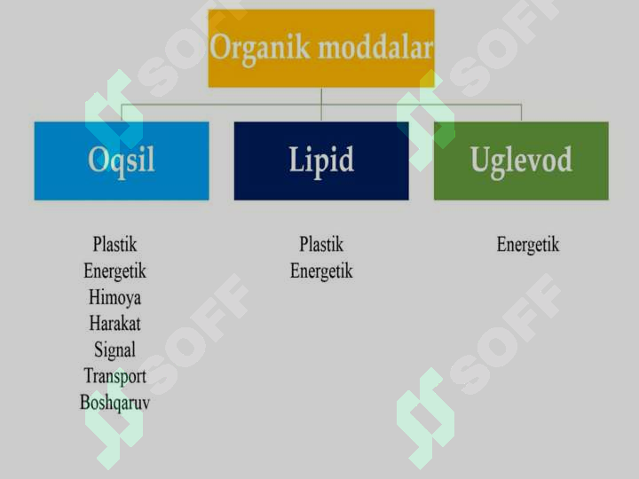 MODDALAR VA ENERGIYA ALMASHINUVI 3