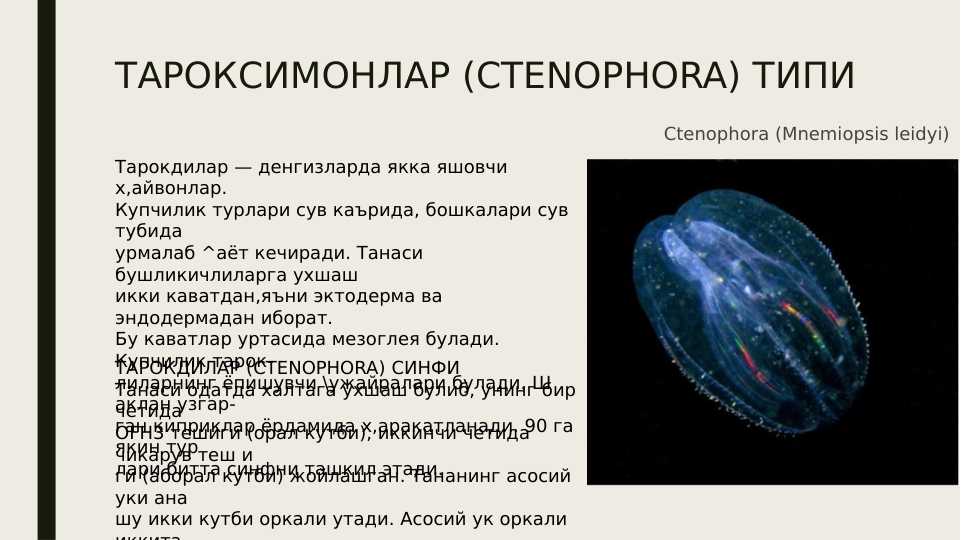 Taroqsimonlar