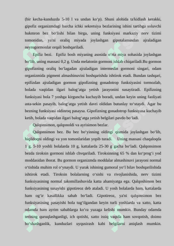 Preview 5