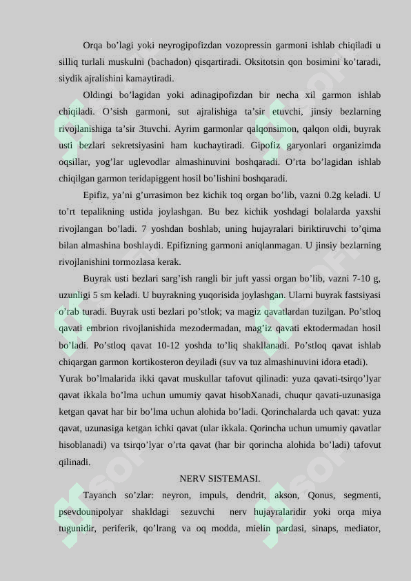 Preview 8