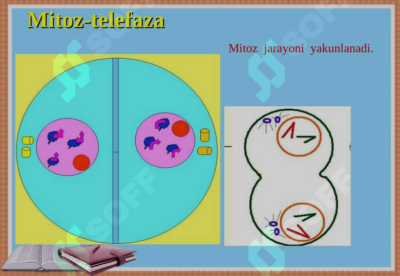 Preview 8