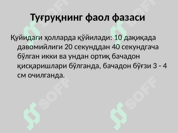 Preview 5