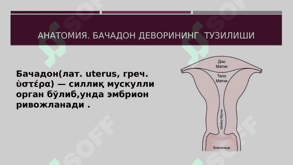 Akusherlik qon ketishlarida yangicha yondashuv . 7